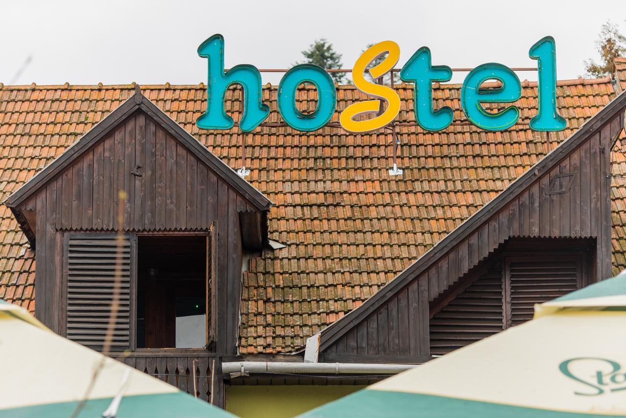 Green Hostel Сфынту-Георге Экстерьер фото